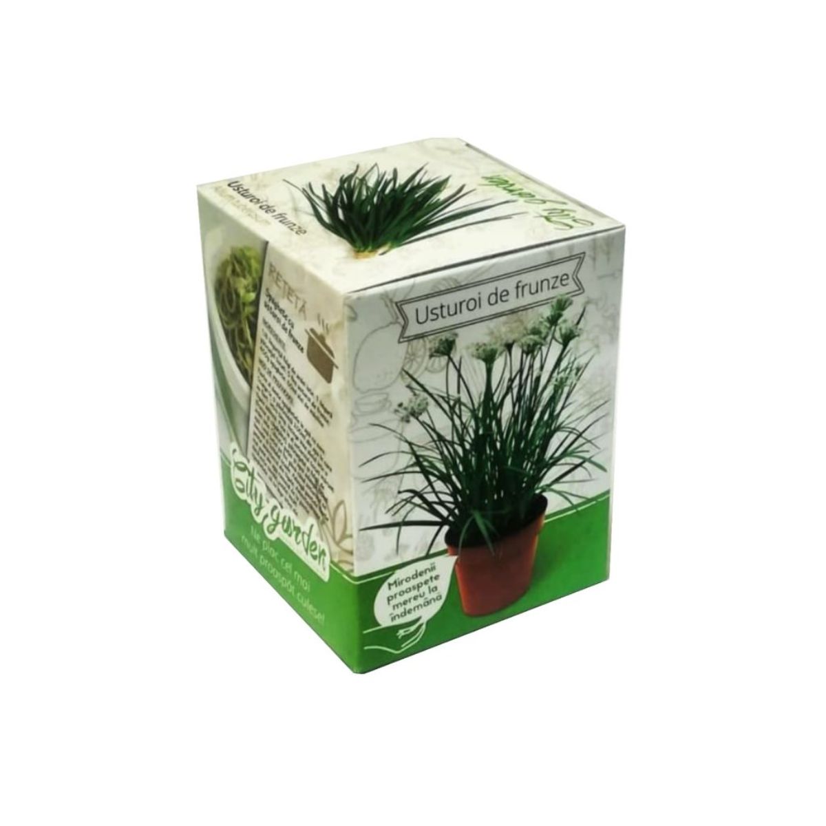 Kit Plante Aromatice Usturoi frunza, 1, hectarul.ro