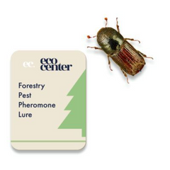 Momeala cu feromoni Ips Spp.