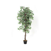 Hectarul - Planta artificiala 160 cm Ficus 1008