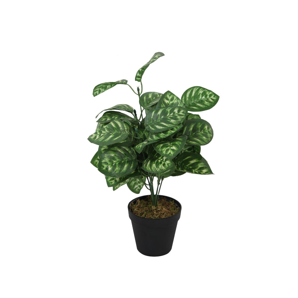 Planta artificiala 45 cm Calathee, 1, hectarul.ro