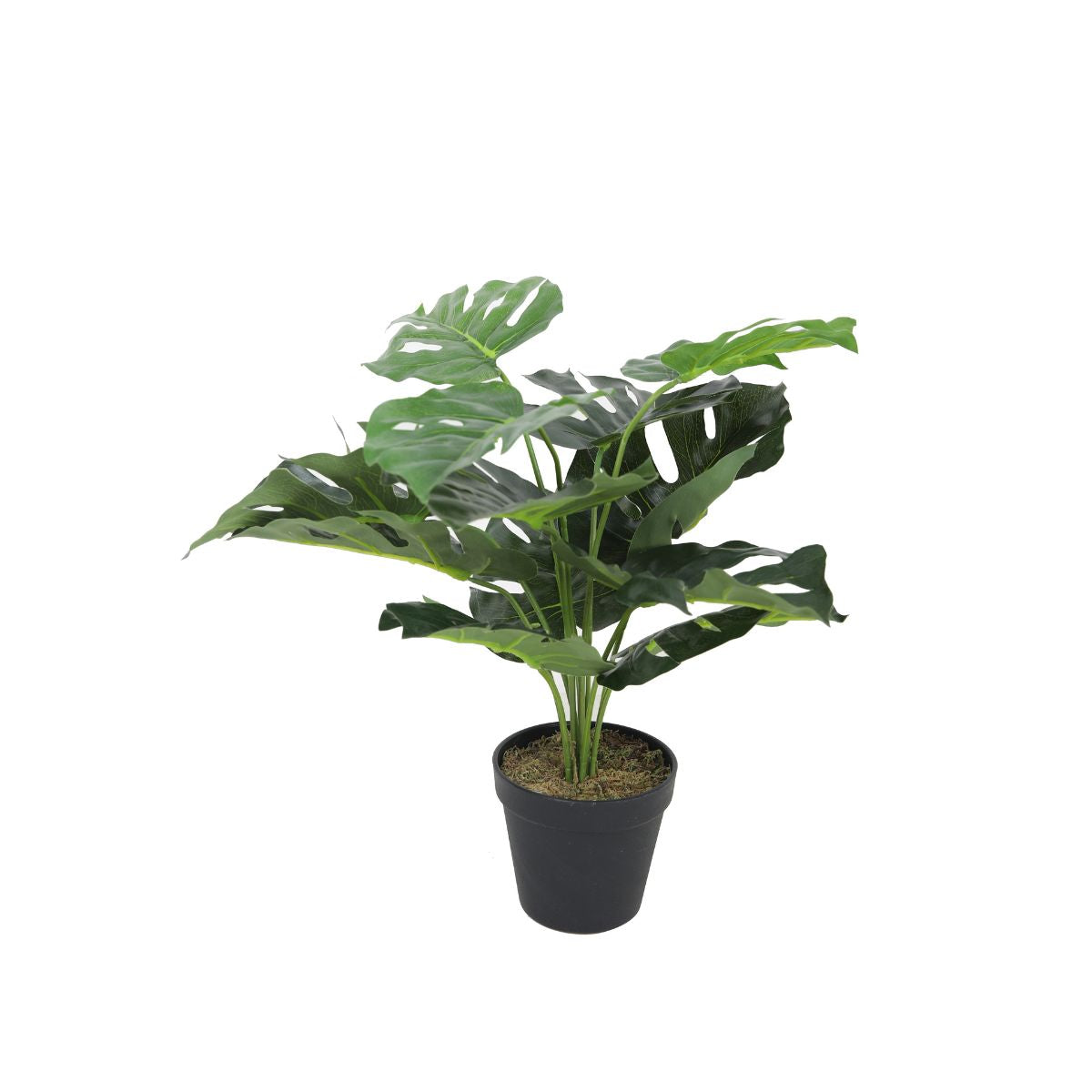Planta artificiala 45 cm Monstera, 1, hectarul.ro