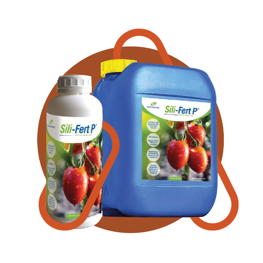 SILI-FERT P, biostimulator pentru dezvoltare si protejare, 1 litru, 1, hectarul.ro
