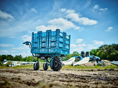 Roaba Cu Acumulatori Makita LXT 18V