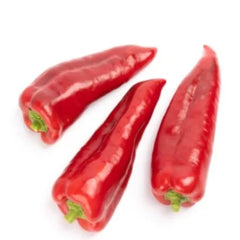 Seminte de ardei Kapia BALCANICA F1, Rijk Zwaan, 100 SEMINTE