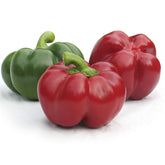 Hectarul - Seminte Ardei gogosar BIHAR F1 ZKI 500 SEM