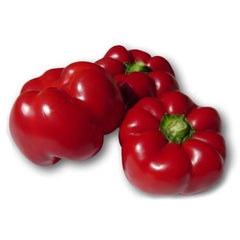 Seminte Ardei gogosar CORNEL ameliorat Pop Vriend 10 g