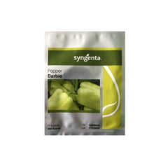 Seminte Ardei gras BARBIE F1 Syngenta 500 SEM