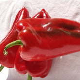 Hectarul - Seminte Ardei Kapia URECHE DE ELEFANT (SLONOVO UVO) Superior 100 g