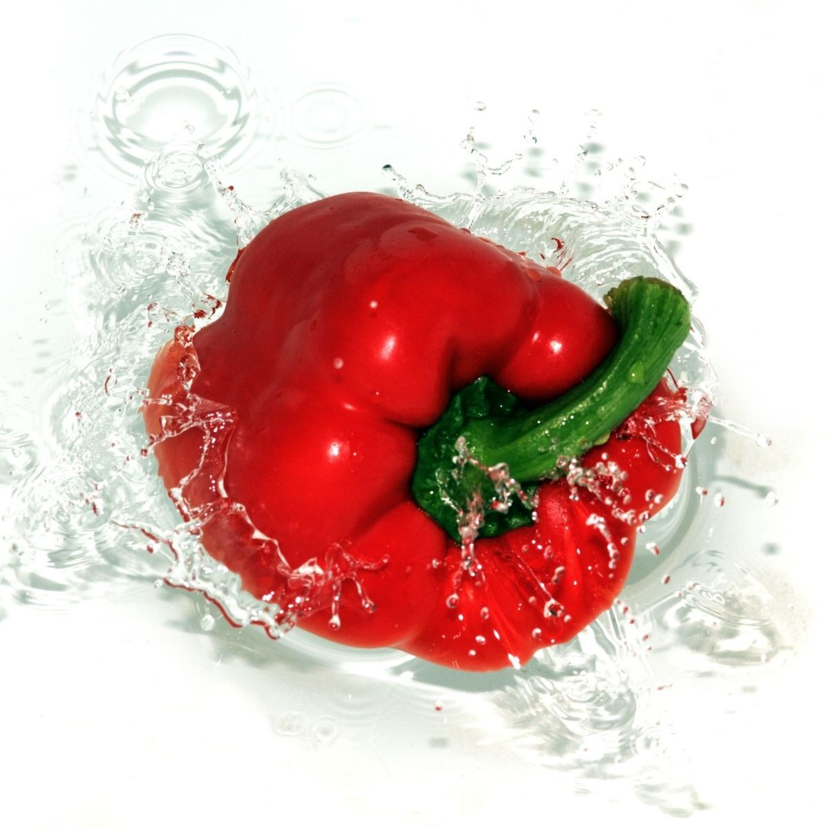 Seminte Ardei RED JET F1 Rijk Zwaan 100 sem, 1, hectarul.ro