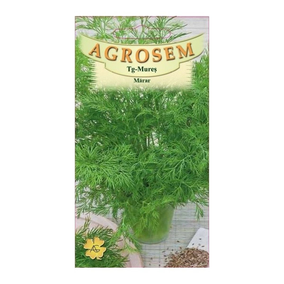 Seminte aromatice Marar Anethum Graveolens AGROSEM 20 g, 1, hectarul.ro