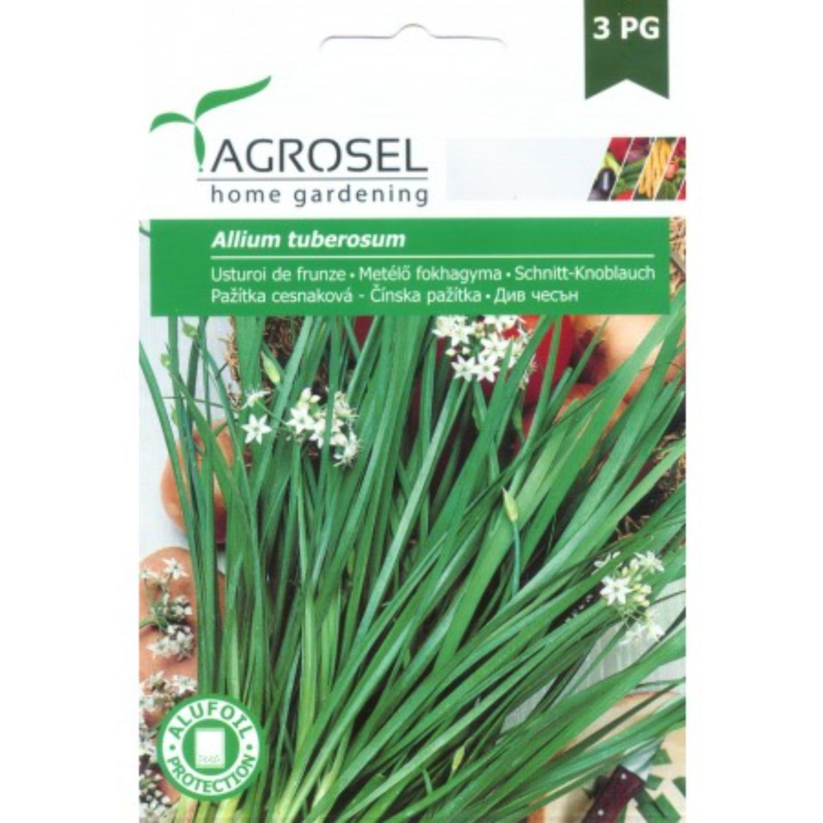 Seminte aromatice Usturoi de frunze Agrosel 1 g, 1, hectarul.ro