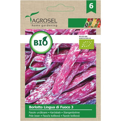 Seminte BIO Fasole Borlotto Lingua di Fuoco 3 - 10g