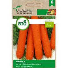 Seminte bio Morcovi Nantes 2 ECO Agrosel 2.5 g
