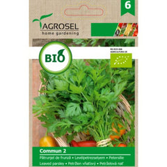 Seminte bio Patrunjel de frunze Commun 2 ECO Agrosel 2 g