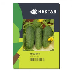 Seminte Castraveti cornichon Cloud F1 HEKTAR 100 sem