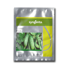 Seminte Castraveti Cornichon EKOL F1 Syngenta 500 sem