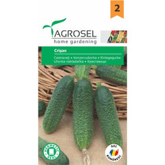 Seminte Castraveti Crisan Agrosel 1,4g