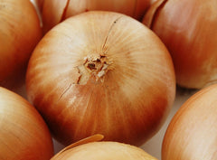 Seminte Ceapa Calatis F1 - 125.000 sem, HEKTAR SEEDS