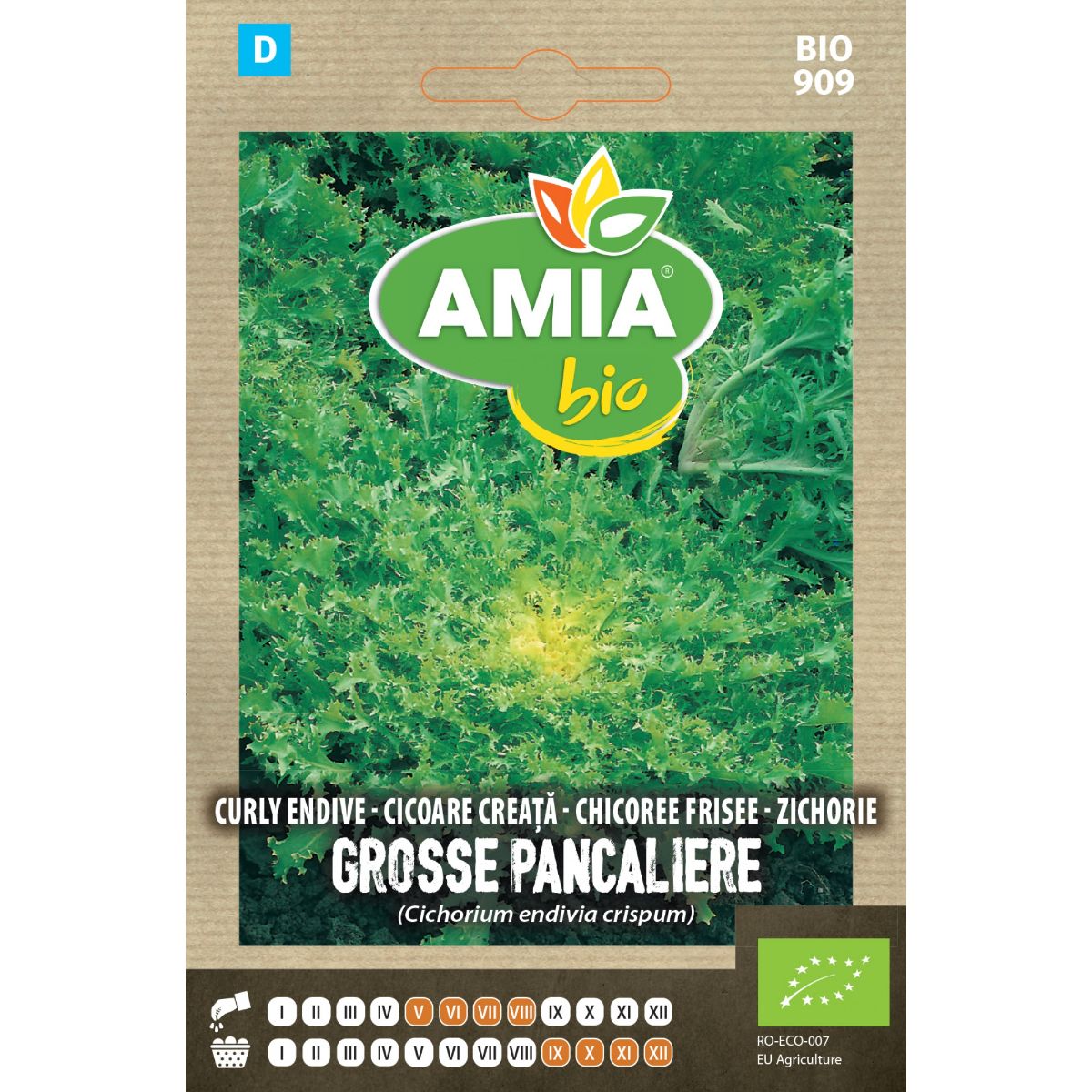 Seminte Cicoare Creata Grosse Pancaliere Alba BIO AMIA 1gr, 1, hectarul.ro