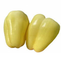 Seminte de Ardei gras BURATTI F1, Rijk Zwaan, 100 SEMINTE