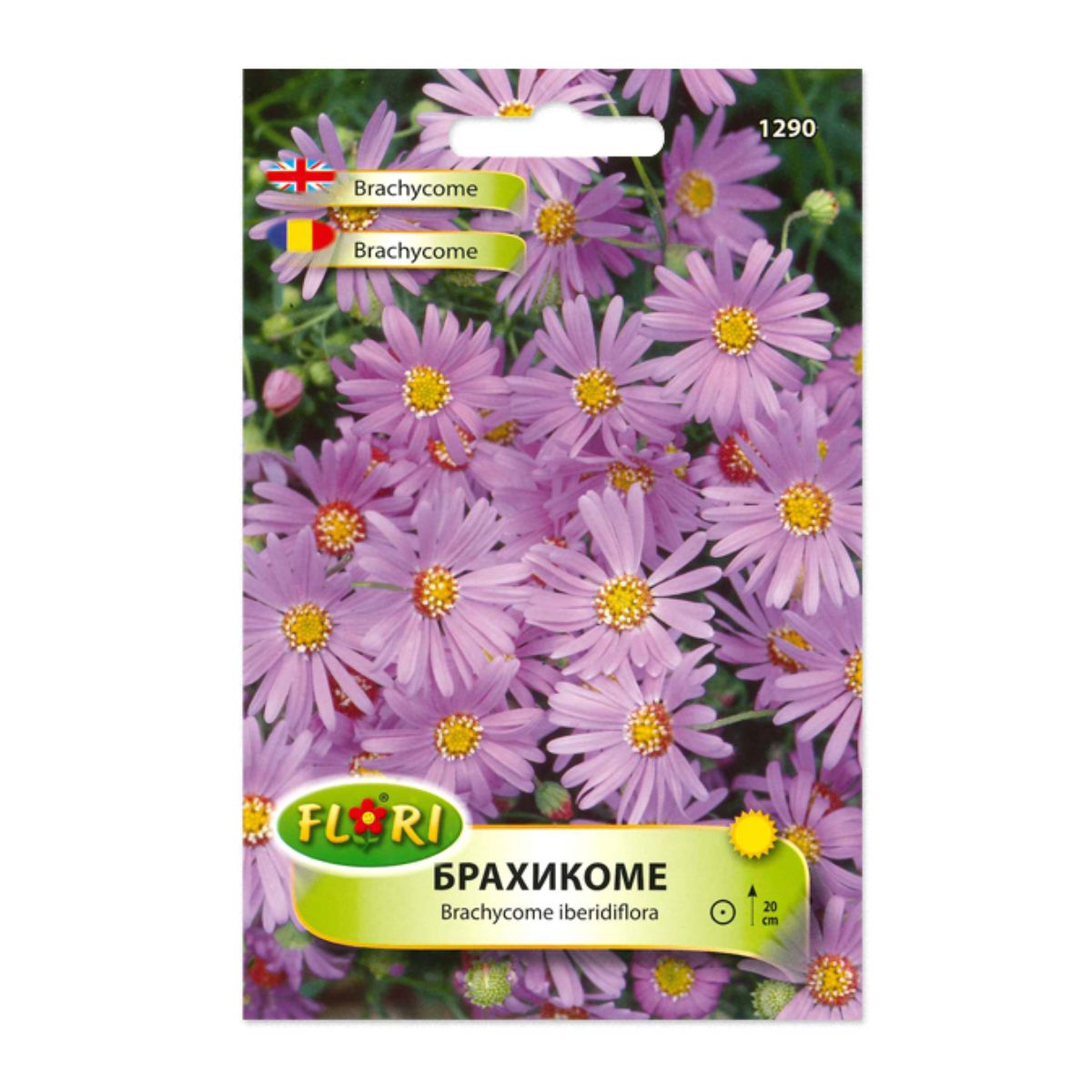 Seminte de Brachycome, 0,3 grame, FLORIAN, 1, hectarul.ro
