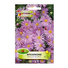 Seminte de Brachycome, 0,3 grame, FLORIAN