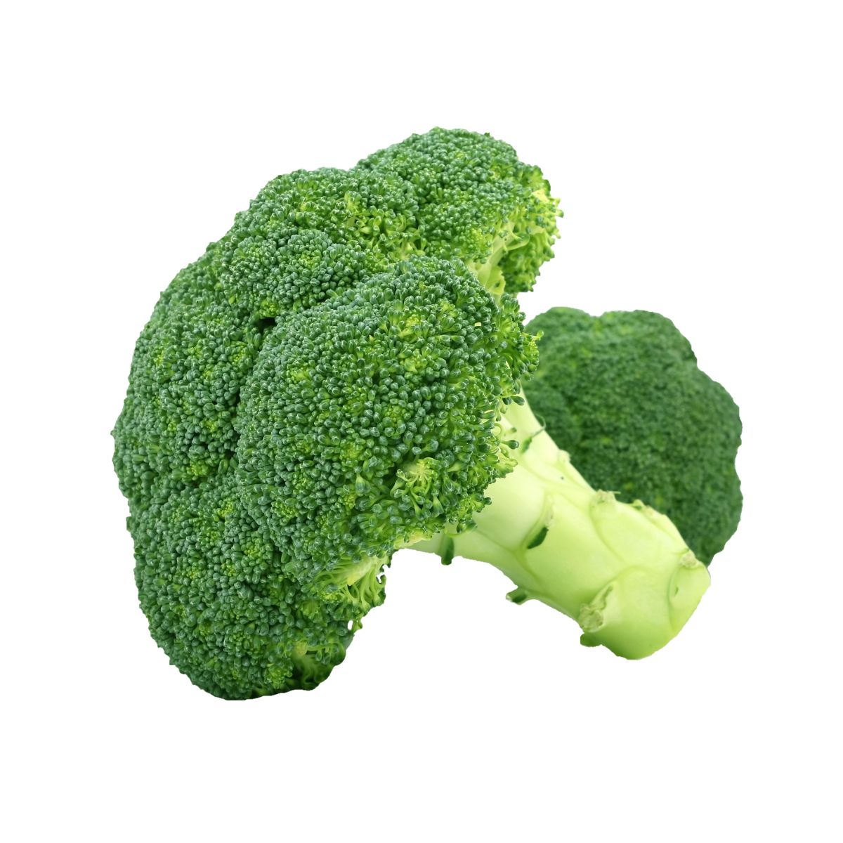 Seminte de broccoli Calabrese, 2 grame, 1, hectarul.ro