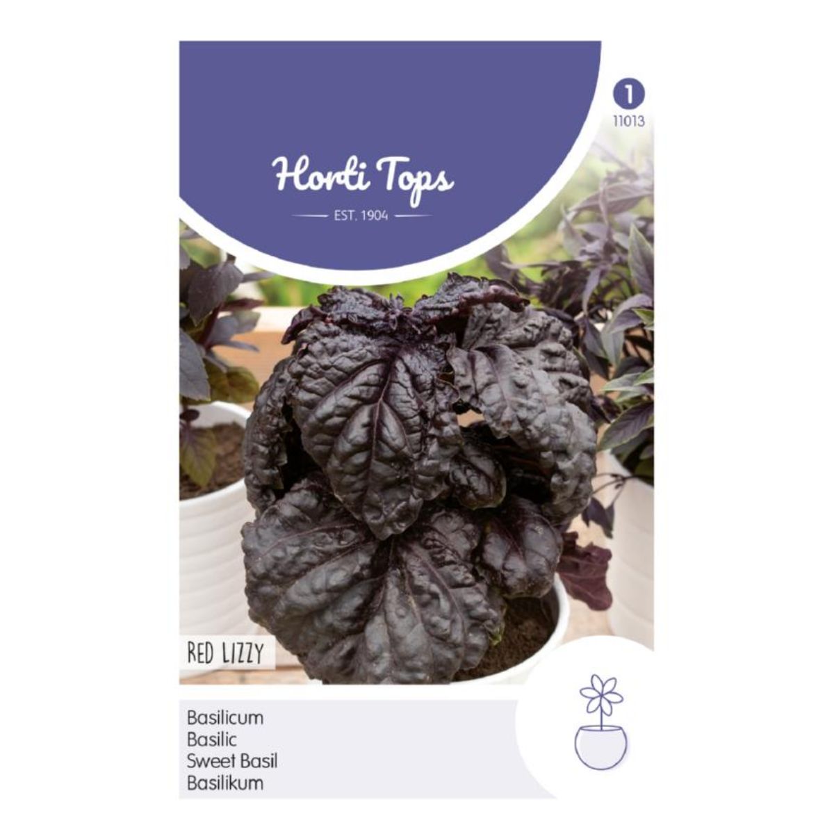 Seminte de busuioc cu frunza mare, 0,1 grame, Hortitops, 1, hectarul.ro