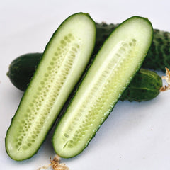 Seminte de castraveti CHAIKOVSKIY F1, Rijk Zwaan, 250 SEMINTE