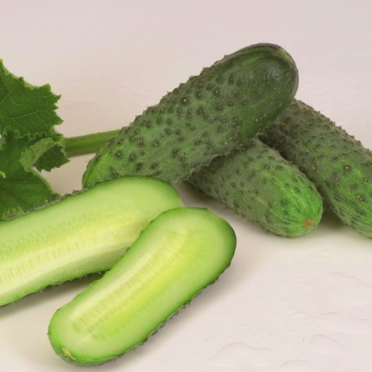 Seminte de castraveti KARAOKE F1, Rijk Zwaan, 250 SEMINTE, 1, hectarul.ro