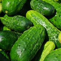 Seminte de castraveti Levina F1, 250 seminte