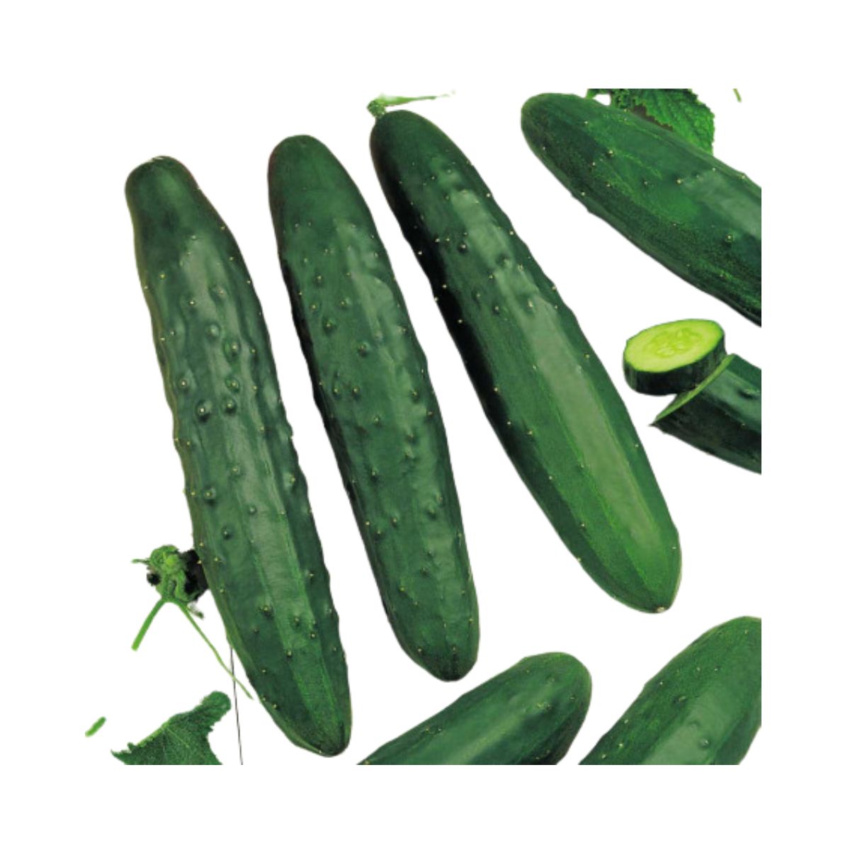 Seminte de castraveti Marketeer, 2 grame, 1, hectarul.ro