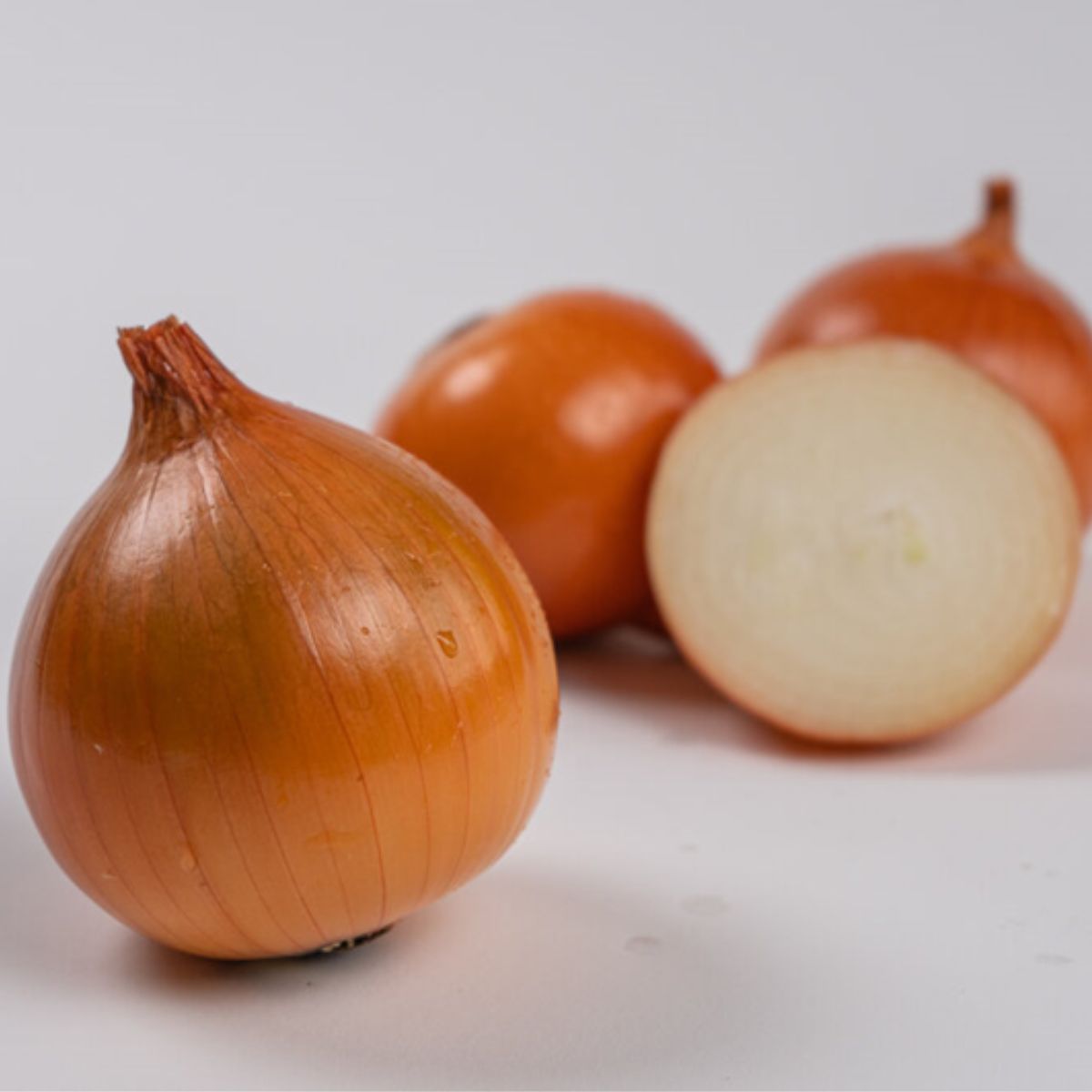 Seminte de ceapa Baruso F1, 250.000 seminte SYNGENTA, 1, hectarul.ro