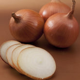 Hectarul - Seminte de ceapa Bosko F1, 250.000 seminte SYNGENTA