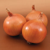 Hectarul - Seminte de ceapa Bratko F1, 250.000 seminte SYNGENTA