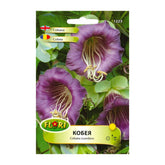 Hectarul - Seminte de Clopot violet, 5 seminte FLORIAN