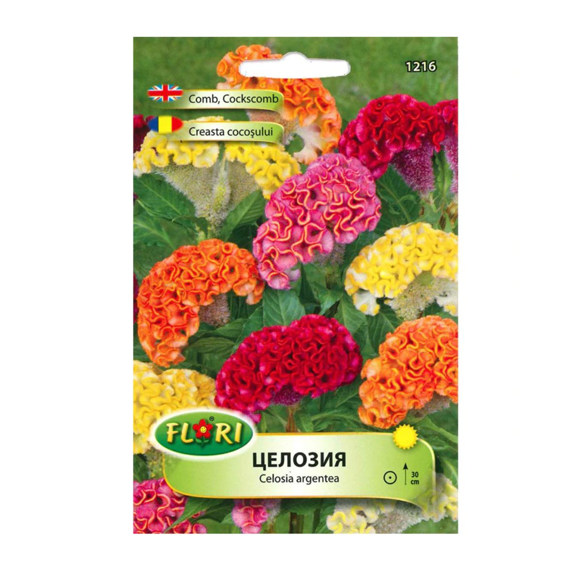 Seminte de Creasta cocosului Cristala, 0.2 grame FLORIAN, 1, hectarul.ro