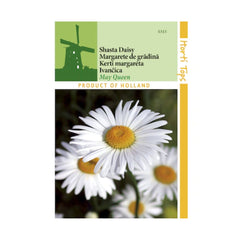 Seminte de crizanteme Mayqueen, 0.75 grame