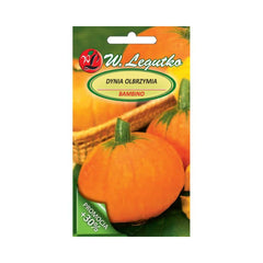 Seminte de dovleac Bambino, 3 gr, LEGUTKO