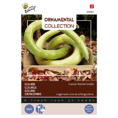 Seminte de dovleac (Tigva) SARPE, 2,5 grame, BUZZY