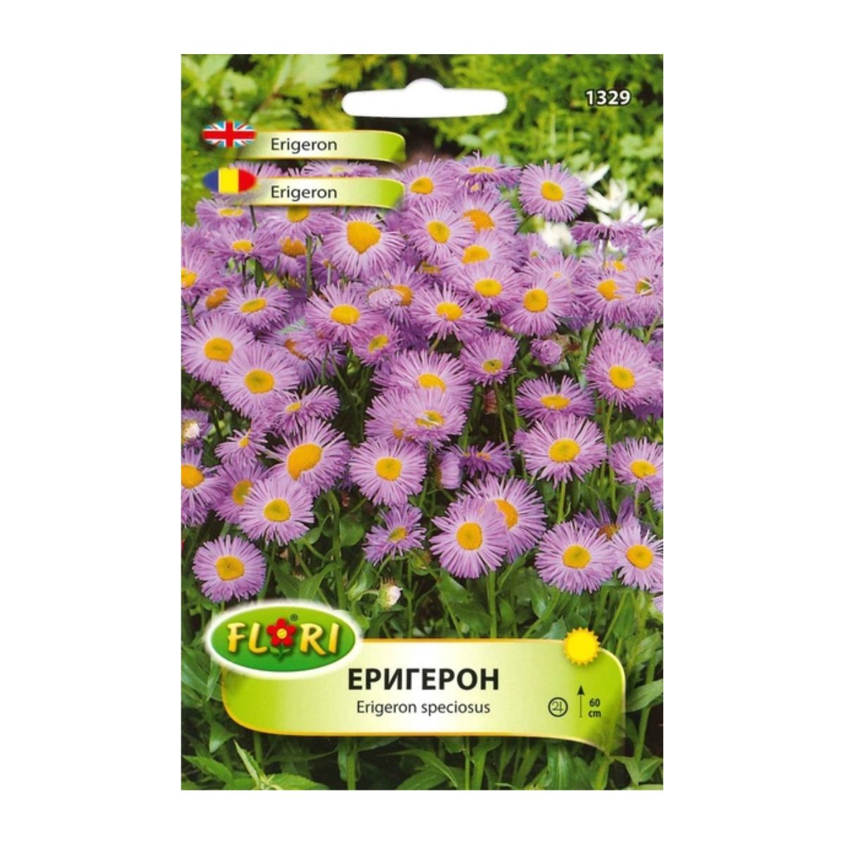 Seminte de erigeron, 0,5 grame, FLORIAN, 1, hectarul.ro