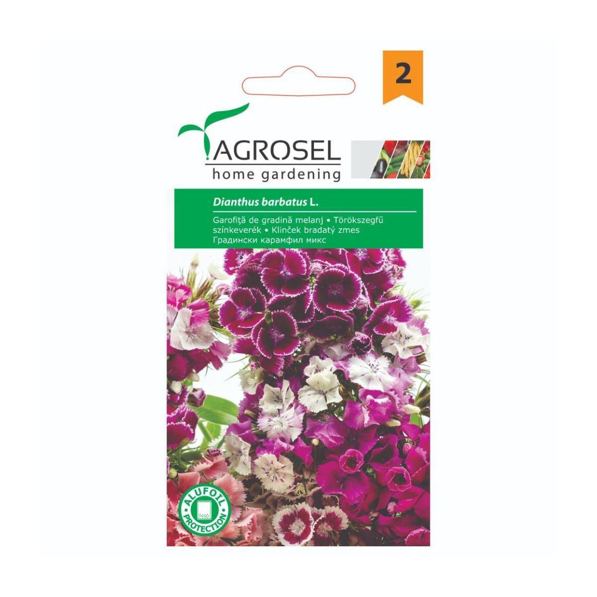 Seminte de garofita de gradina, 1 gr, AGROSEL, 1, hectarul.ro