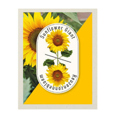 Seminte de floarea soarelui GIGANT,1 gram, TUIN