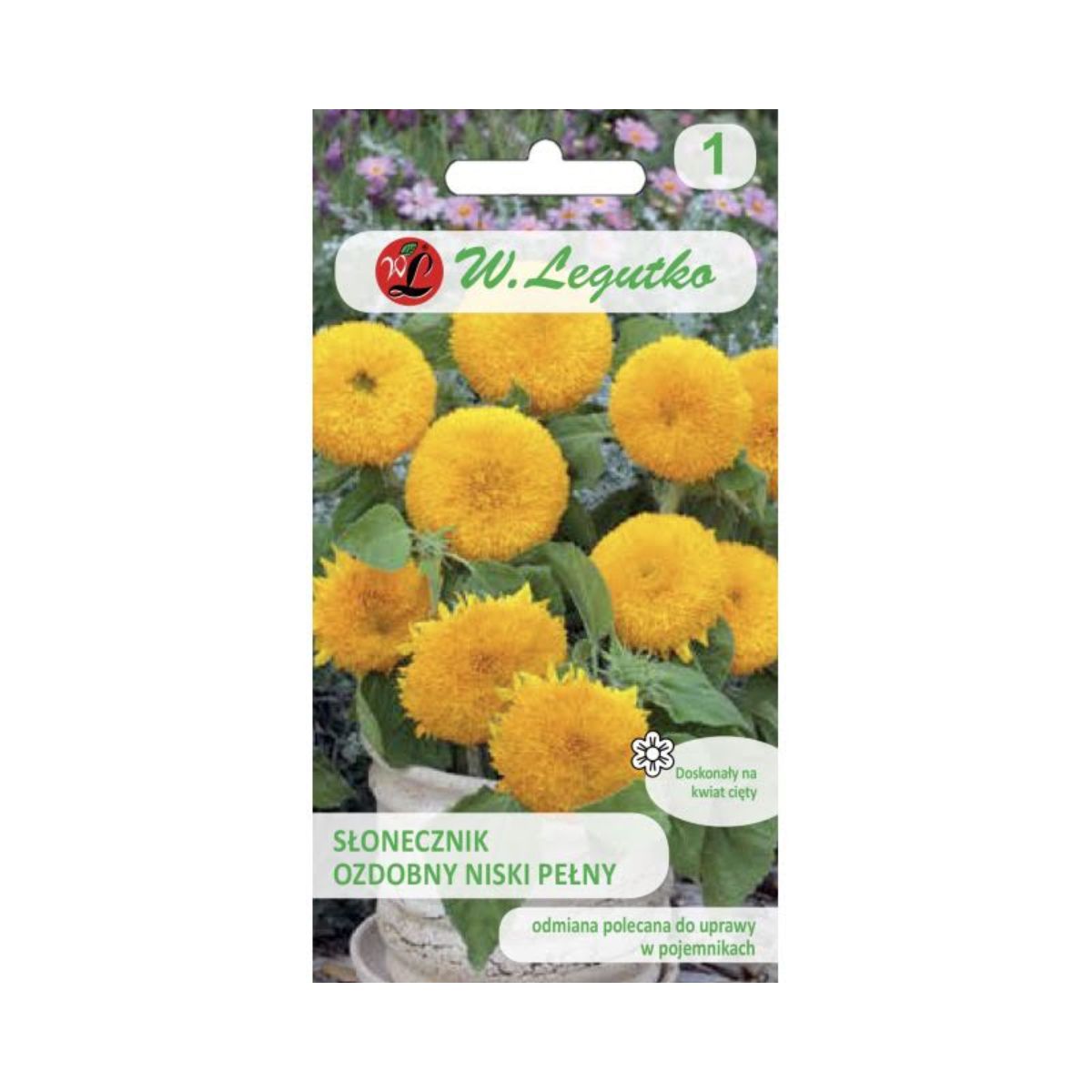 Seminte de floarea soarelui pitica ornamentala Teddy Bear, 2 gr, LEGUTKO, 1, hectarul.ro