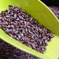 Seminte de floarea soarelui RUSTICA 172 SU, sac 60.000 boabe