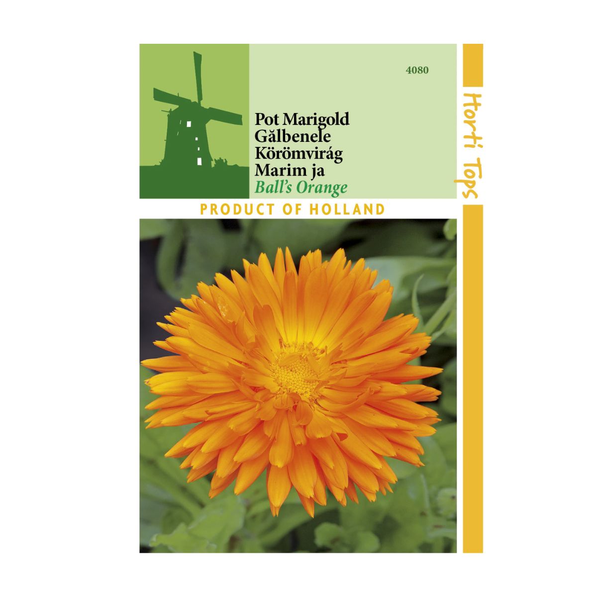 Seminte de galbenele Balls Orange, 2 grame, 1, hectarul.ro