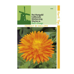 Seminte de galbenele Balls Orange, 2 grame