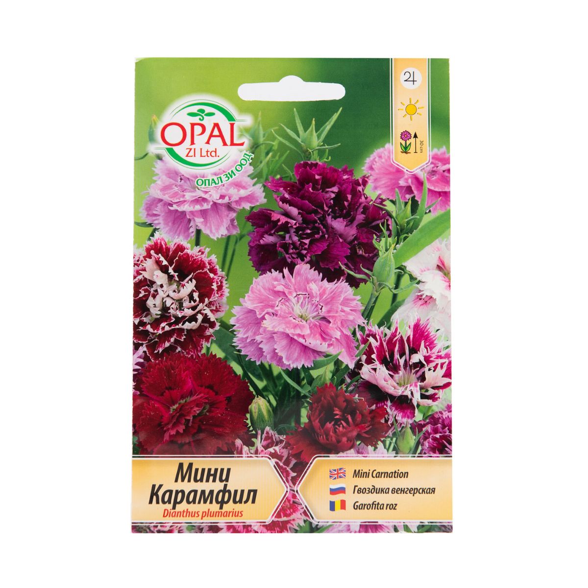 Seminte de Garoafa mini, 0,5 grame OPAL, 1, hectarul.ro