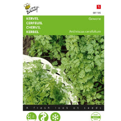 Seminte de Hasmatuchi comun, 5 grame, BUZZY