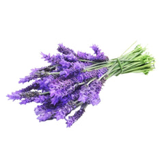 Seminte de lavanda aromata, 0.2 grame FLORIAN